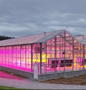 Unlocking the Potential of Greenhouses with Light